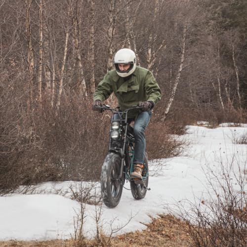 Electric Bike for Adults 20" Moped Style with Full Suspension R8661