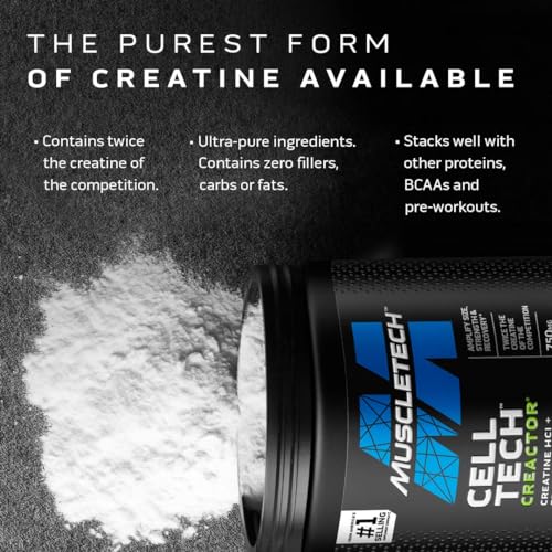Creatine Monohydrate Powder, Micronized, Unflavored X3657