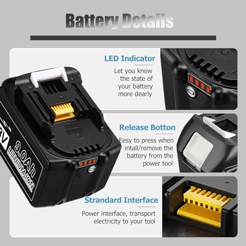 2 Pack 6000mAh 18V Battery with LED Indicator R64107