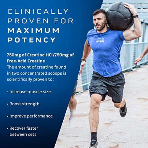 Creatine Monohydrate Powder, Micronized, Unflavored X3657