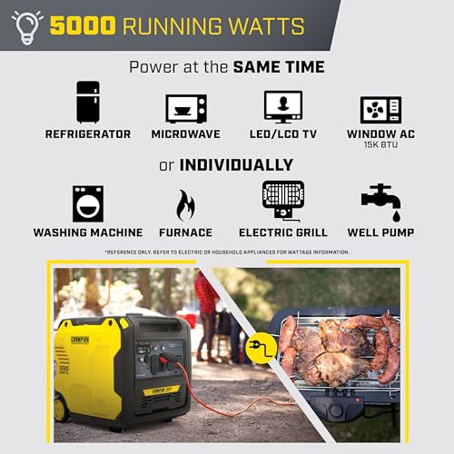 Portable Inverter Generator 6500-Watt RV Ready P779
