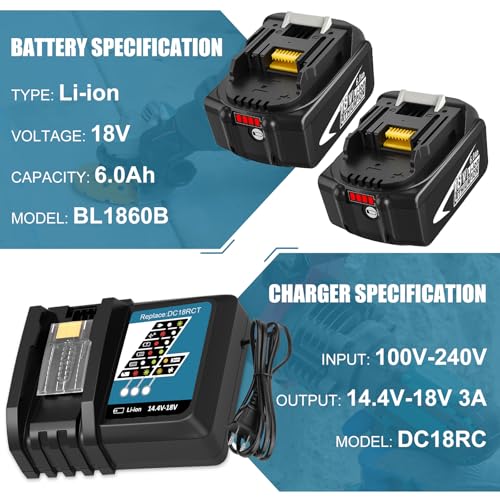 2 Pack 6.0Ah Li-ion 18V Battery and Charger Kit P809