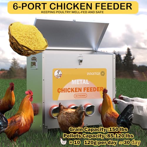 Automatic Metal Chicken Feeder, 85lbs Capacity, 10-Port Q521
