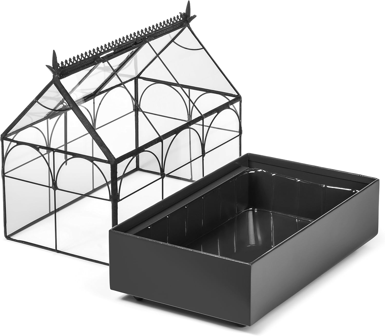 Glass Terrarium Planter for Succulents F3820