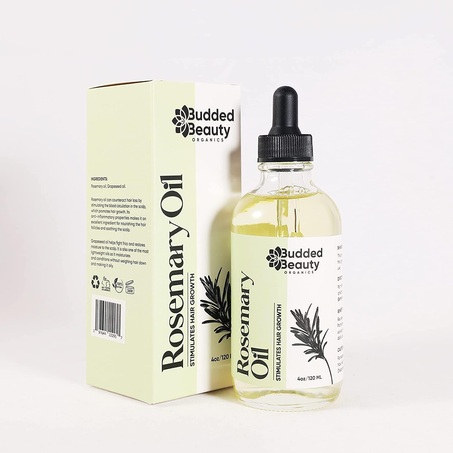 Rosemary Oil for Hair Growth with Dropper Y470109
