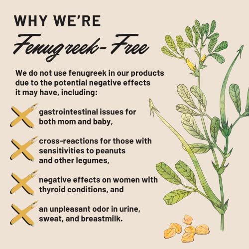 Organic Breastfeeding Supplement with Fennel & Anise, 60 Vegan Capsules G254257