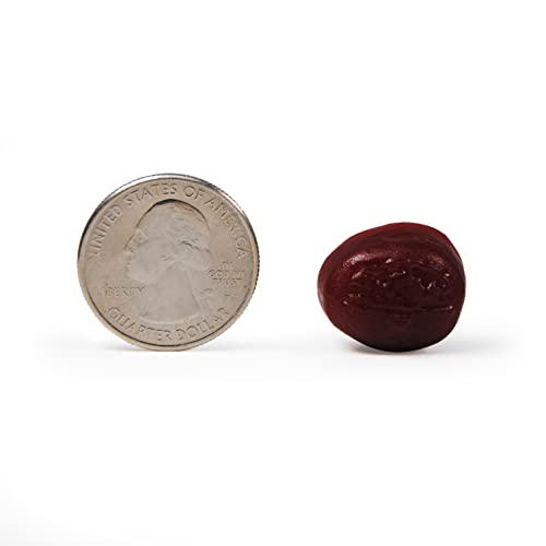Caffeine-Free Brain Supplement Gummies for Memory & Focus P404