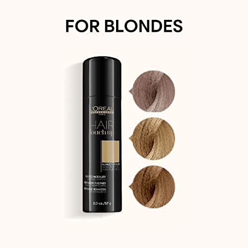 Root Concealer Spray for Grey Hair, 2 Oz Y564