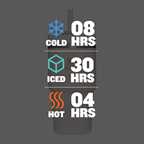 Insulated Stainless Steel Tumbler with Lid and Straw L389