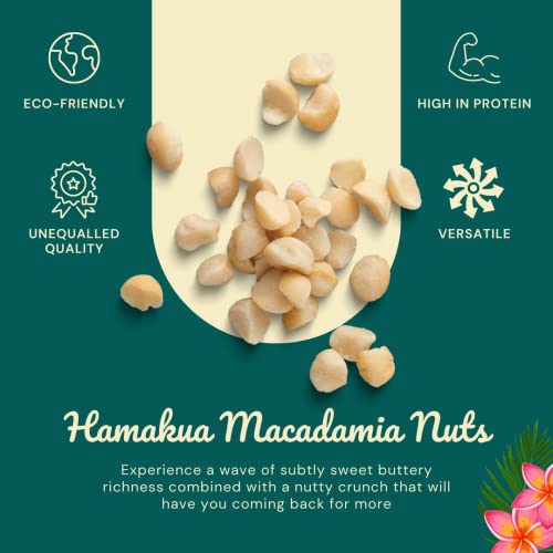 Sweet Glazed Coconut Dry Roasted Macadamia Nuts F672185