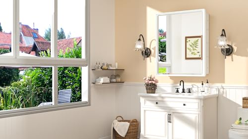 Recessed Medicine Cabinet with Mirror Wall Mounted, Metal Beveled Mirror with Storage for Bathroom Vanity, Aluminum Alloy, Silver, 16x24, 1 Door V179203