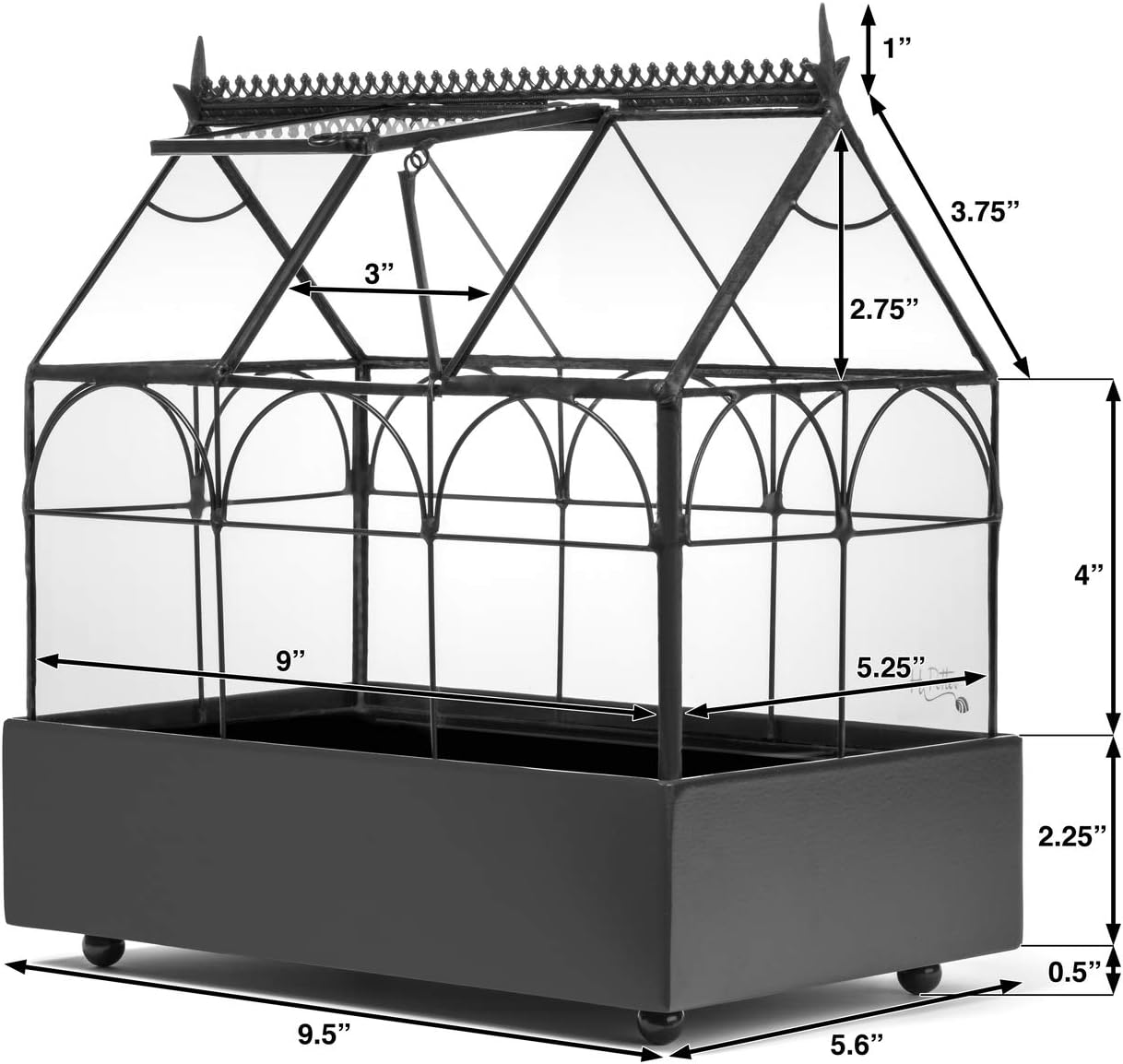 Glass Terrarium Planter for Succulents F3820