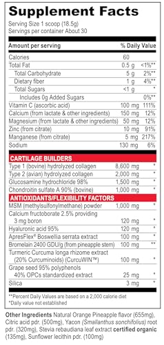 Joint and Cartilage Support Supplement, 30 Servings J210