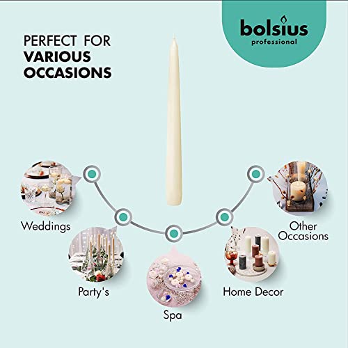 Ivory Taper Candles 10 Inch, 100 Count, 7+ Hour Burn G920