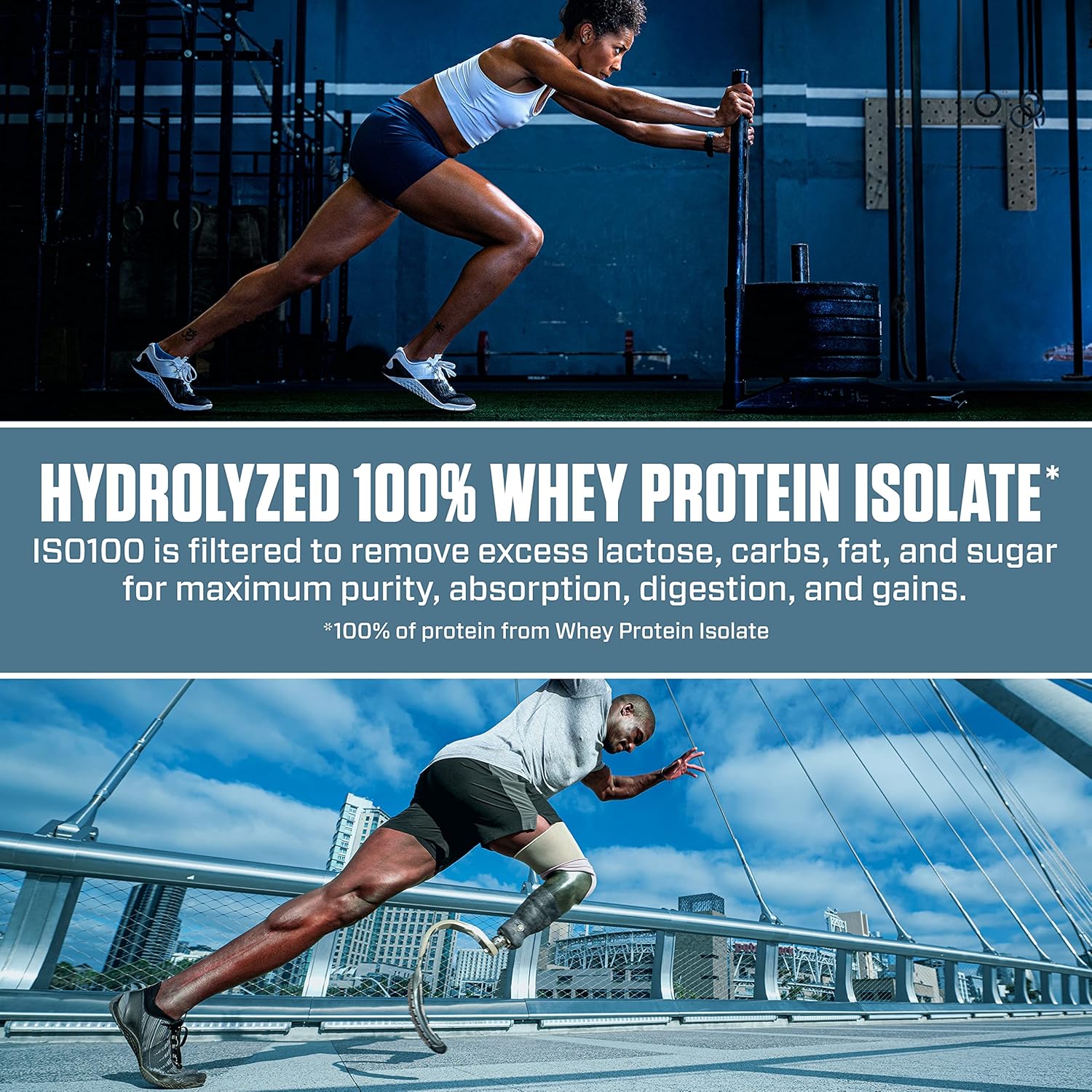 Hydrolyzed Whey Protein Powder, Gourmet Chocolate, 5 Pound B5929