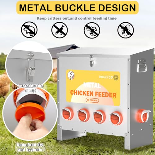 Automatic Metal Chicken Feeder, 85lbs Capacity, 10-Port Q521