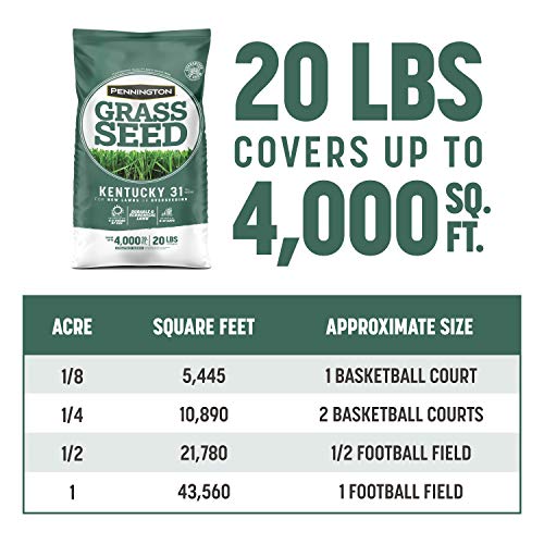 Kentucky 31 Tall Fescue Grass Seed 20 lb & Starter Lawn Fertilizer 14 lb O40443
