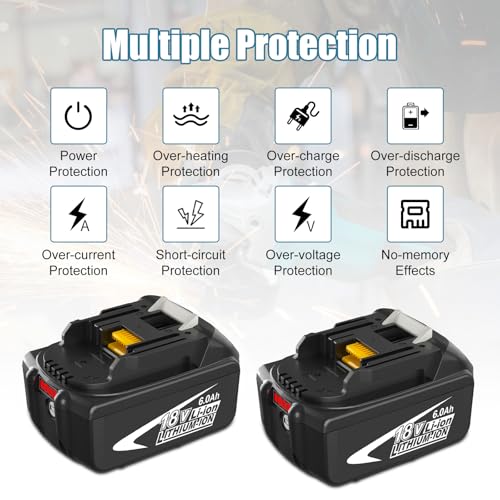 2 Pack 6.0Ah Li-ion 18V Battery and Charger Kit P809