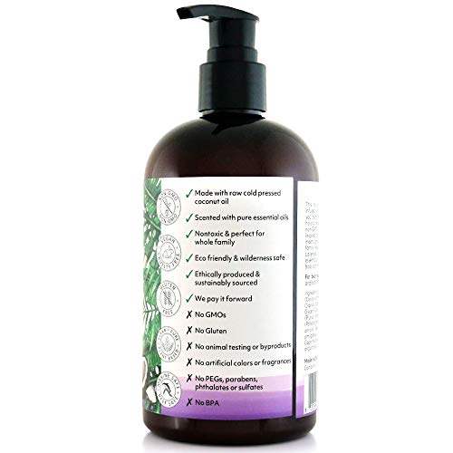 Face & Body Lotion with Coconut Oil for Dry Skin, Fragrance Free, 12 oz B66742