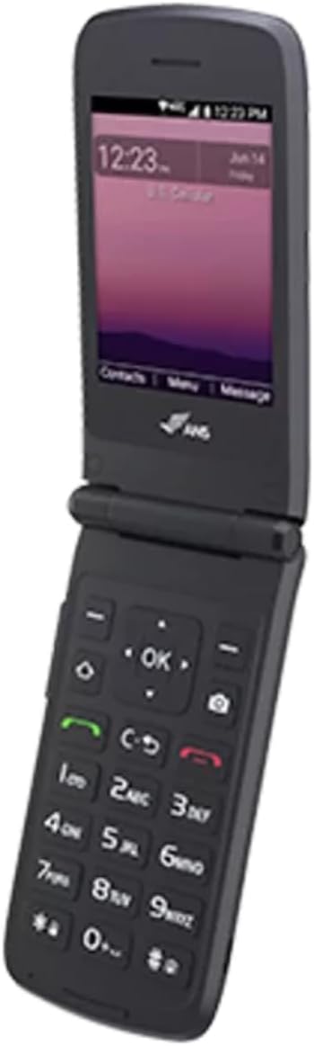 Unlocked Flip Phone H311