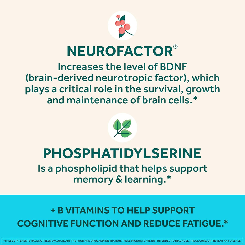 Brain Supplement for Memory and Focus, Strawberry Gummies, 50 Count N541