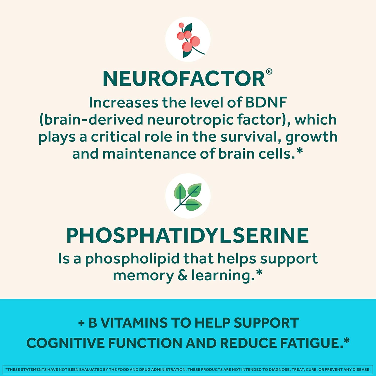 Brain Supplement for Memory and Focus, Strawberry Gummies, 50 Count N541