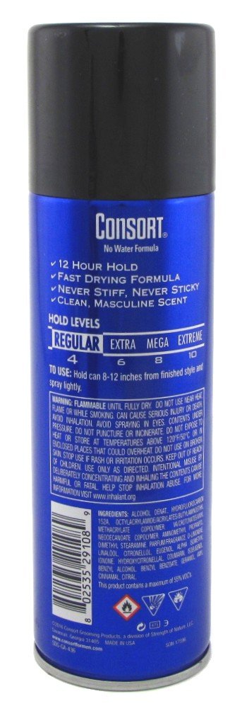 Hair Spray 8.3 oz Regular Hold Aerosol 2 Pack B766647