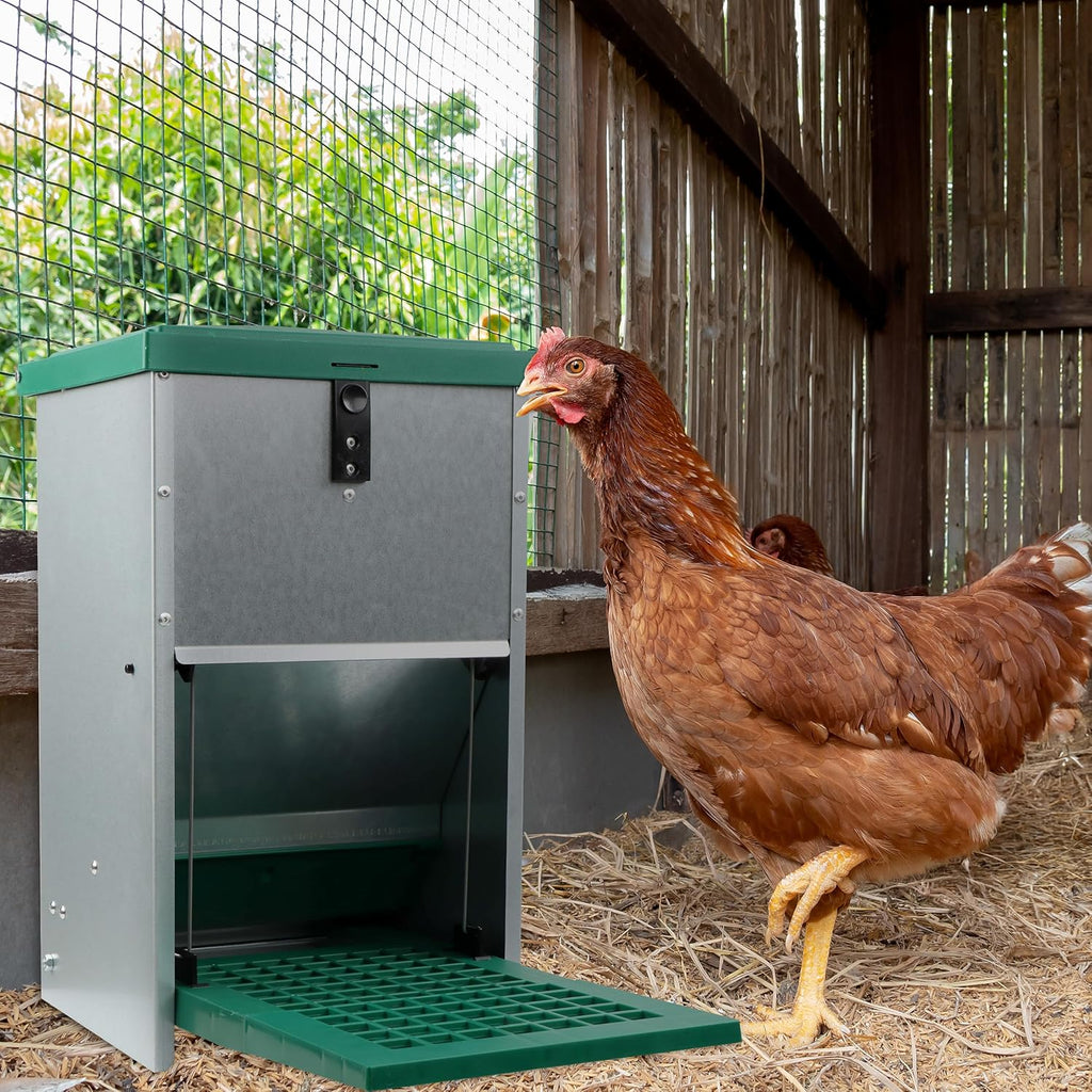 Pressure Lever Automatic Chicken Feeder, 17.6 lb Capacity A183