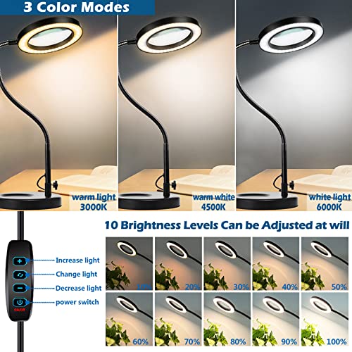 10X Magnifying Glass with Light and Stand, Flexible Gooseneck Desk Lamp & Clamp, 3 Modes Dimmable LED L456