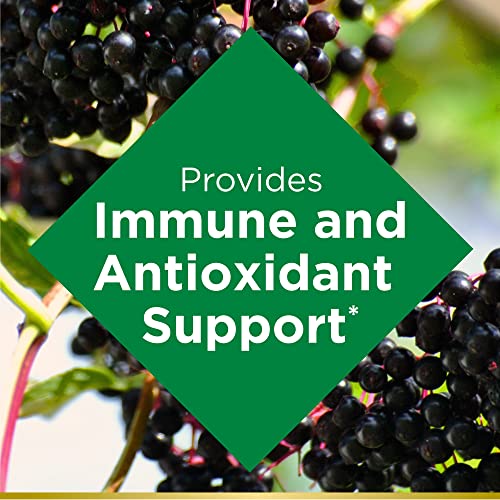 Elderberry Gummies with Vitamins A, C, D, E and Zinc, 100 mg, 120 Count B47719