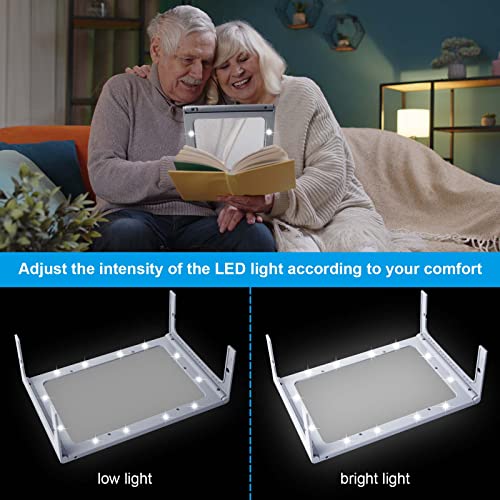 Magnifying Glass with Light and Stand, 36 LED Dimmable Floor Lamp Q897338