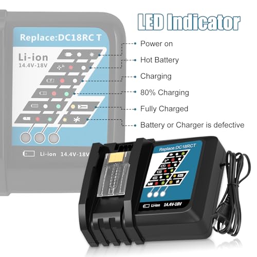 2 Pack 6.0Ah Li-ion 18V Battery and Charger Kit P809