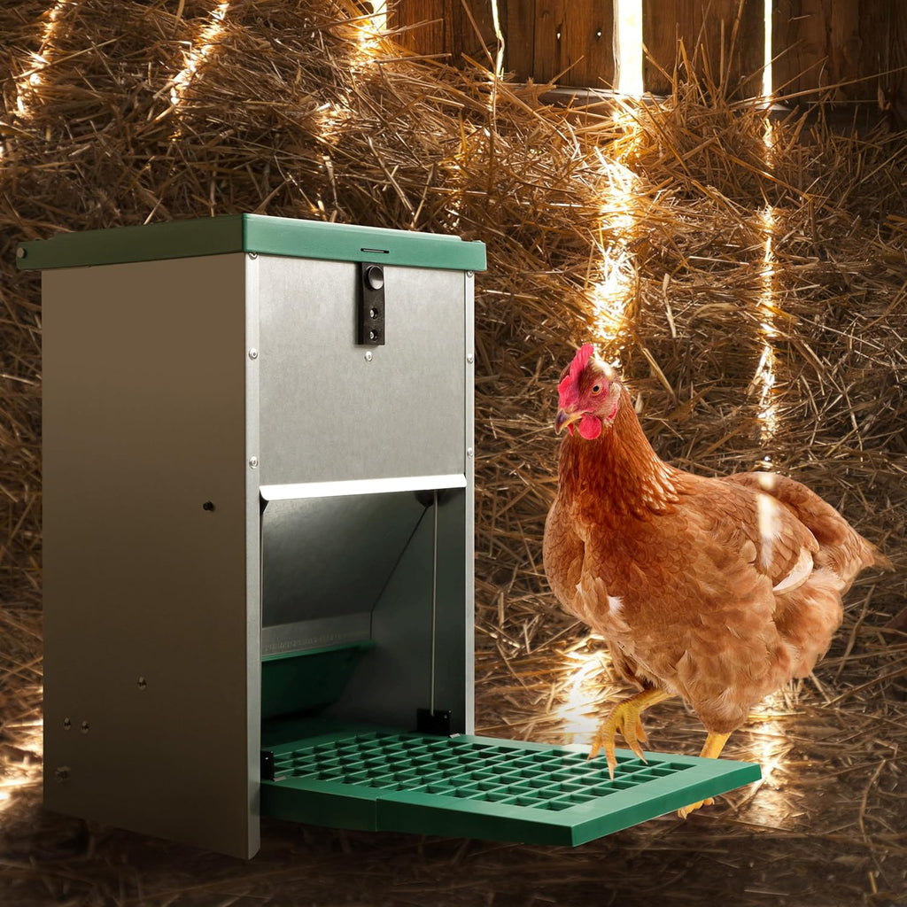 Pressure Lever Automatic Chicken Feeder, 17.6 lb Capacity A183
