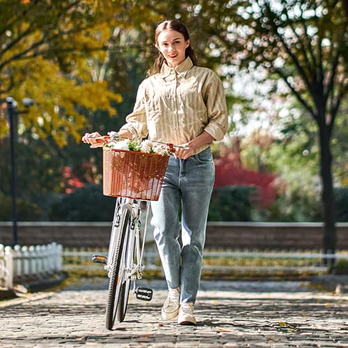Beach Cruiser Bike for Women, 26 Inch, Step Through with Basket R10252