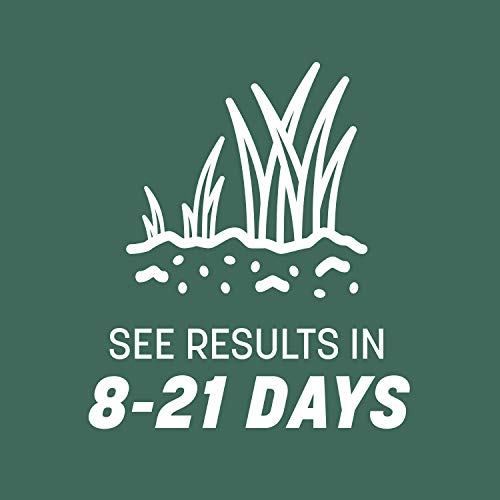 Kentucky 31 Tall Fescue Grass Seed 20 lb & Starter Lawn Fertilizer 14 lb O40443