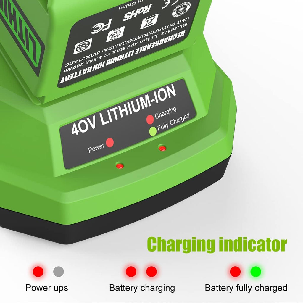 40V 6.5Ah Lithium-Ion Battery Replacement N339917