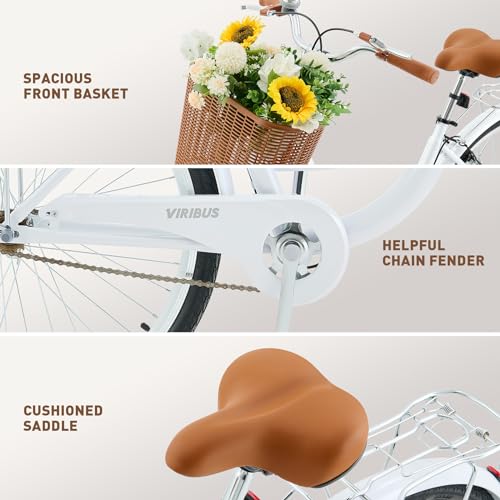 Beach Cruiser Bike for Women, 26 Inch, Step Through with Basket R10252