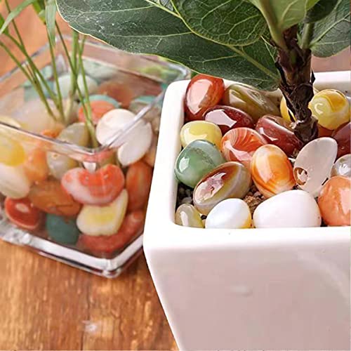 100 Mixed Agate Tumbled Stones, Natural Polished Crystal Set for Decor O324497