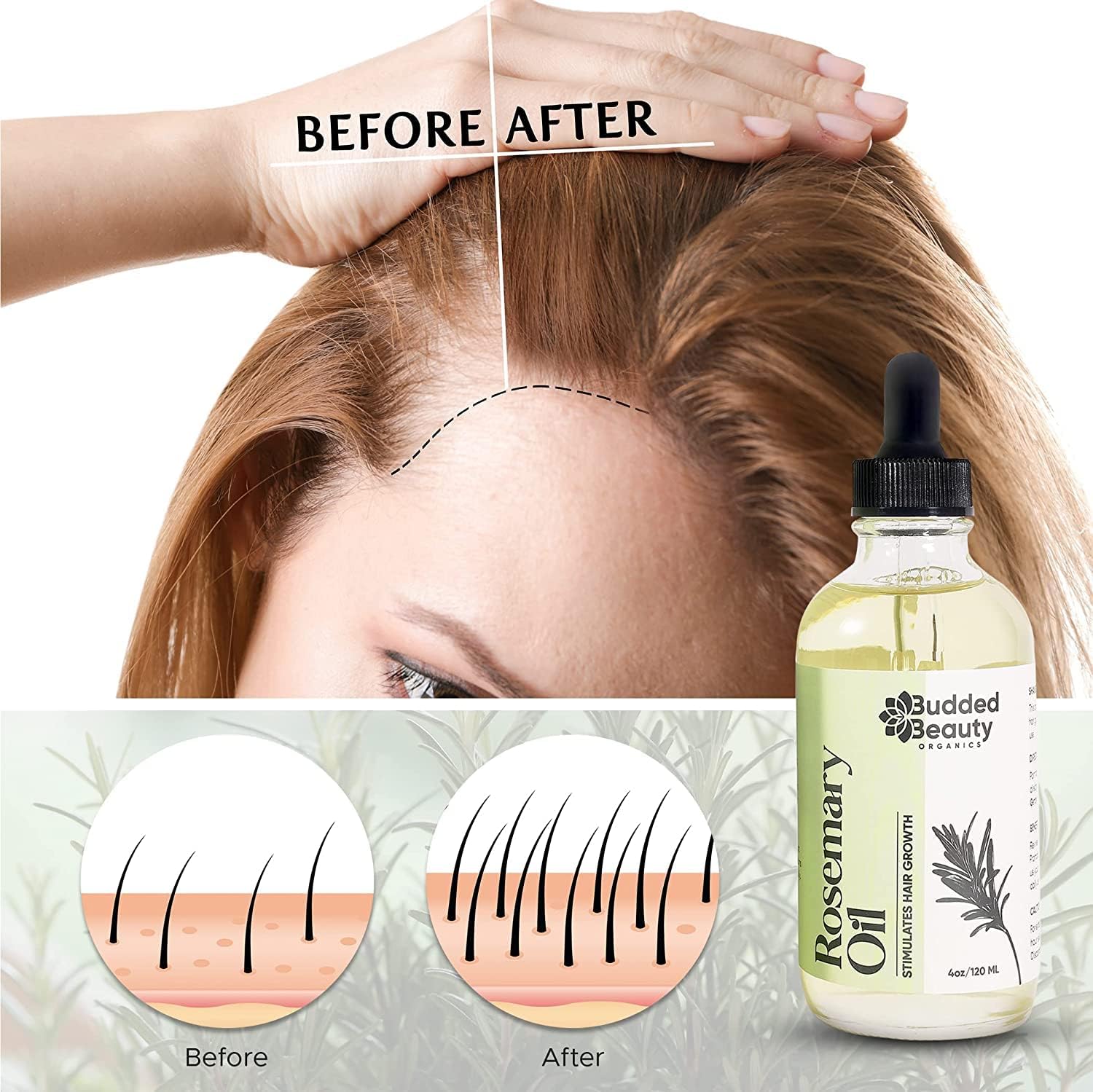 Rosemary Oil for Hair Growth with Dropper Y470109