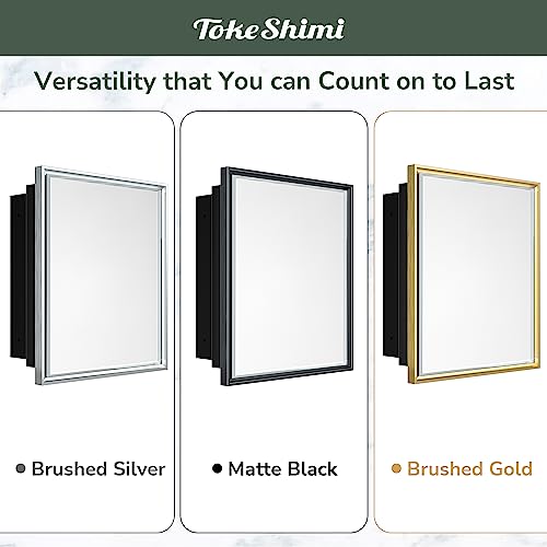 Recessed Medicine Cabinet with Mirror Wall Mounted, Metal Beveled Mirror with Storage for Bathroom Vanity, Aluminum Alloy, Silver, 16x24, 1 Door V179203