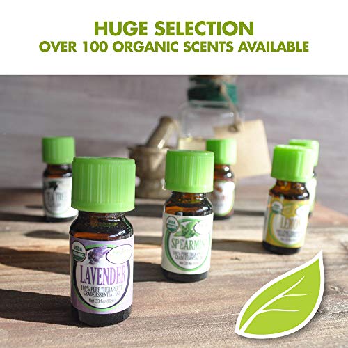 Frankincense Essential Oil for Hair, Skin and Diffuser R7380