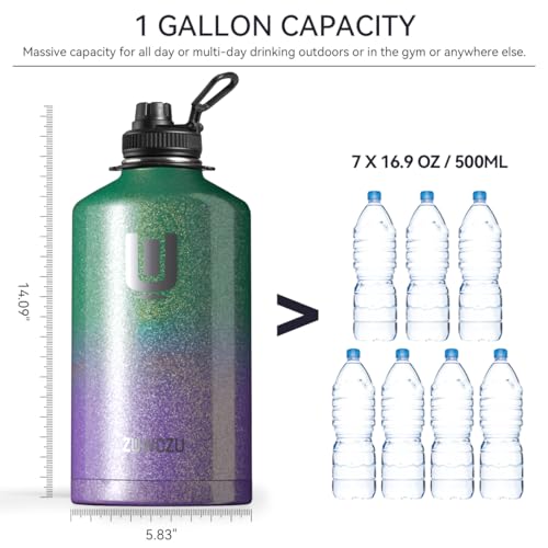 1 Gallon Insulated Stainless Steel Water Bottle with Straw and Handle, 128oz V808